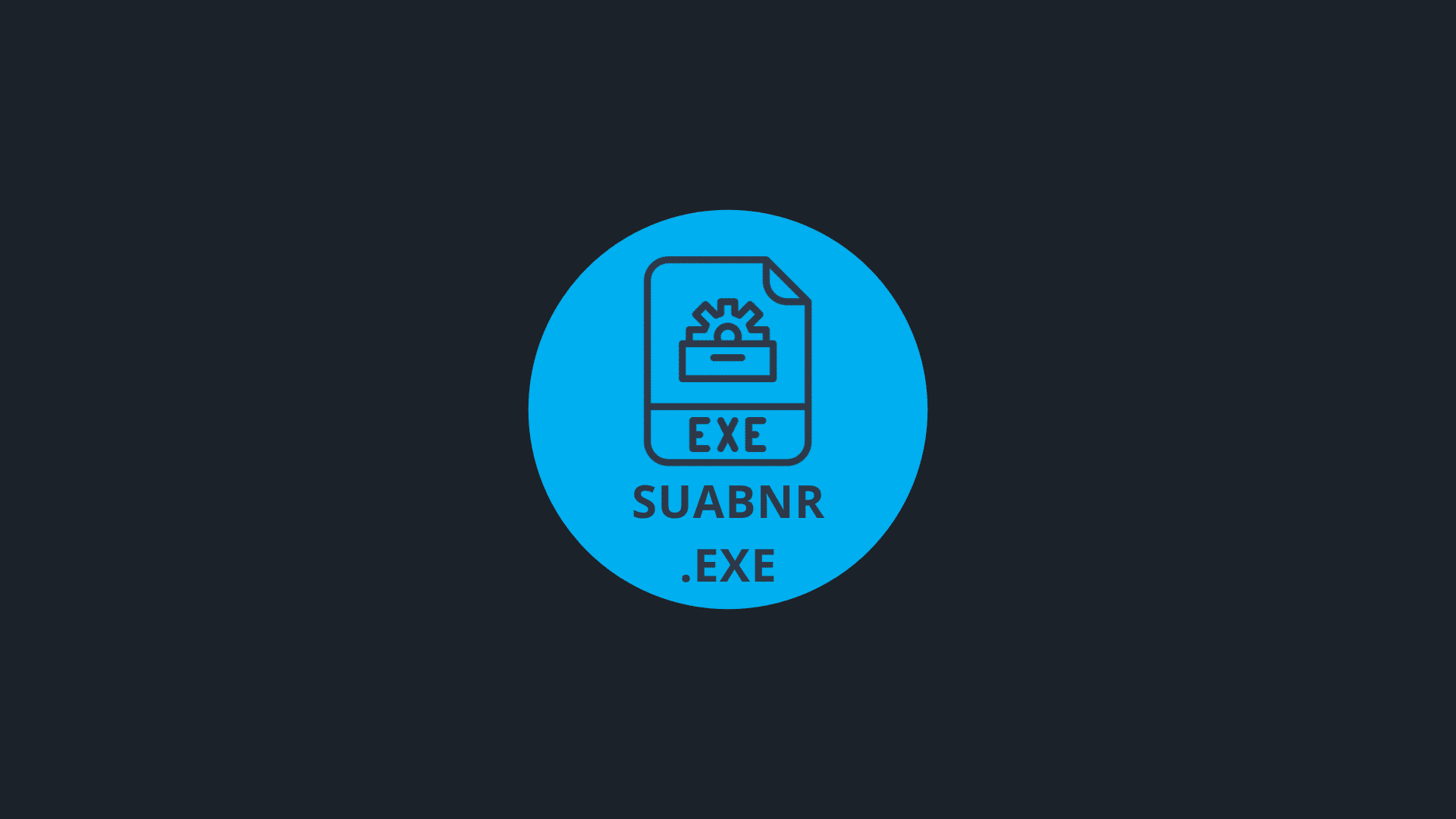 What is Suabnr.exe