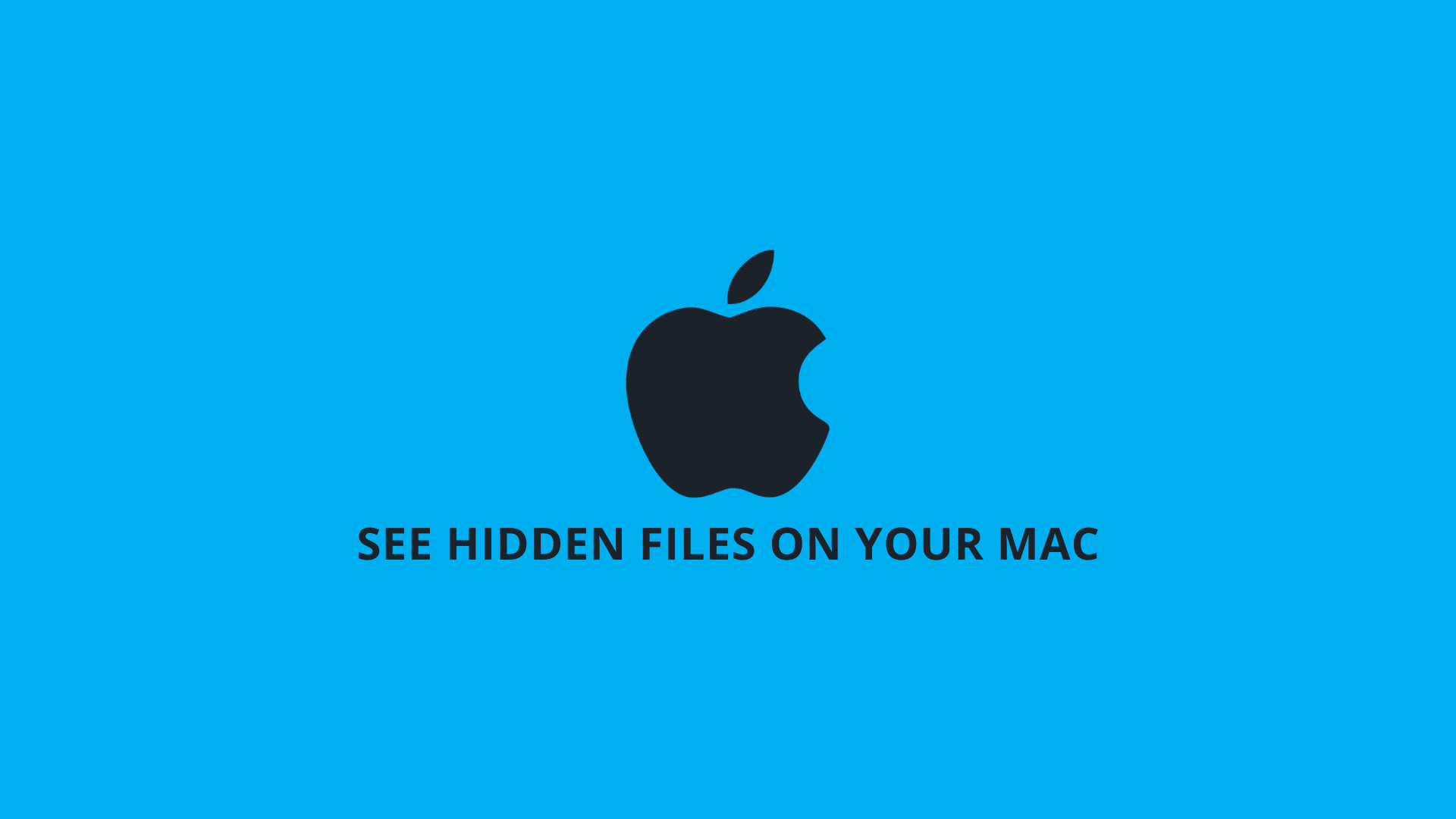 How to See Hidden Files on Your Mac