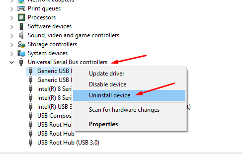 Universal Serial Bus Controllers