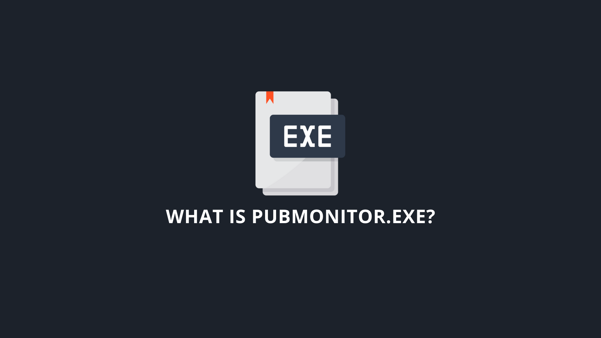 What Is PubMonitor.exe_