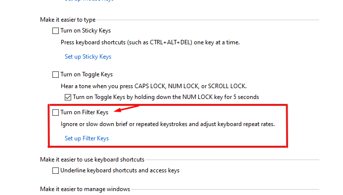 Turn on filter keys