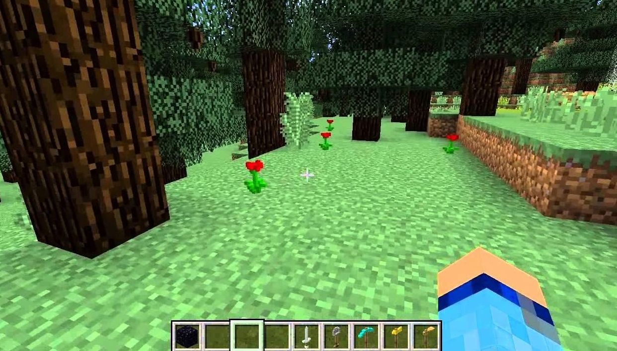 Default3D in Minecraft