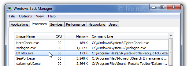 What is BtHidUi exe