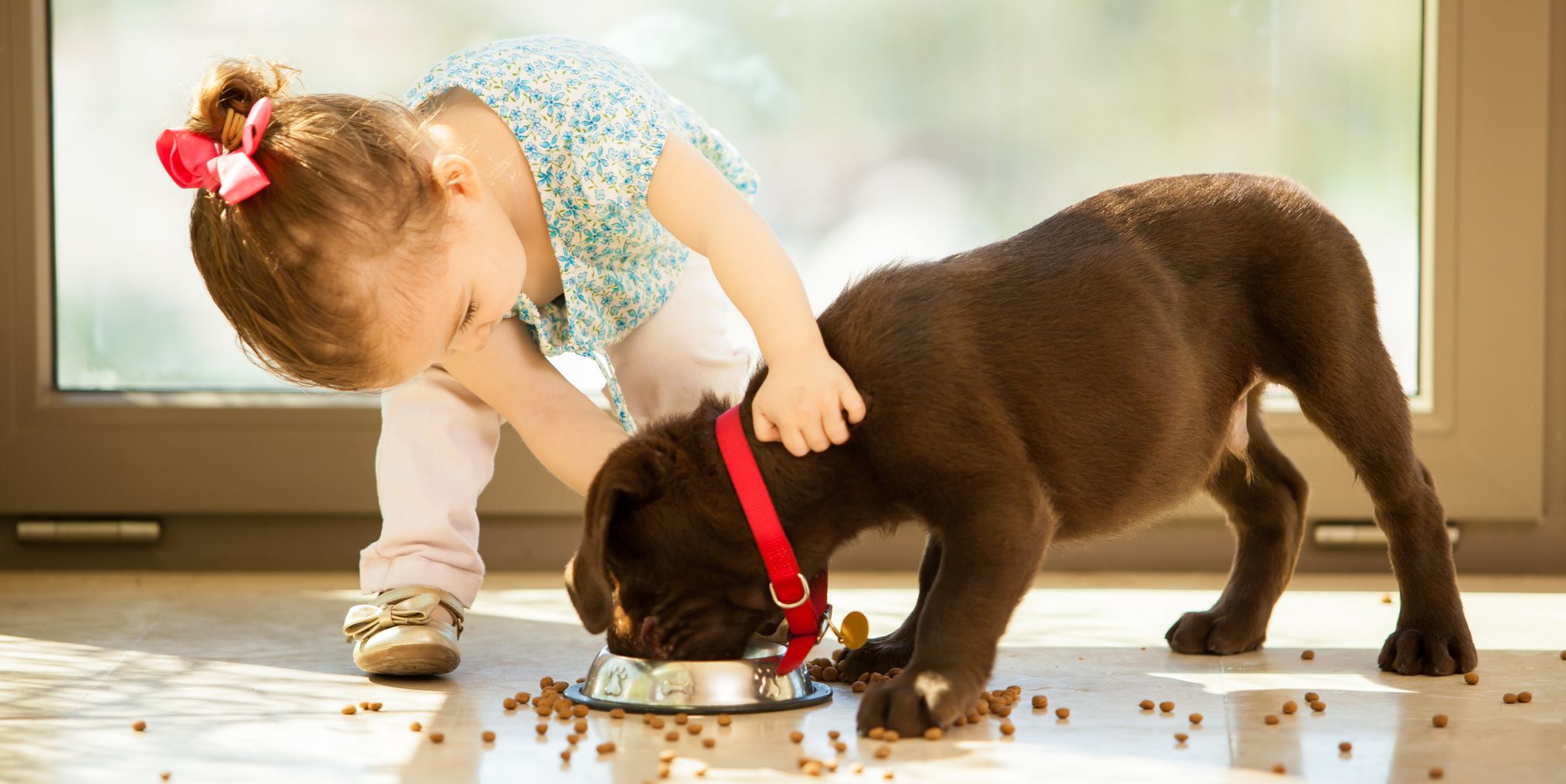 20 Best Dog Breeds for Kids - Good Family Dogs