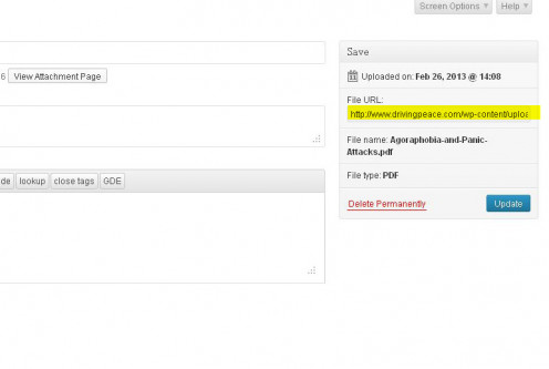 Toma la URL del PDF de la pantalla de edición.